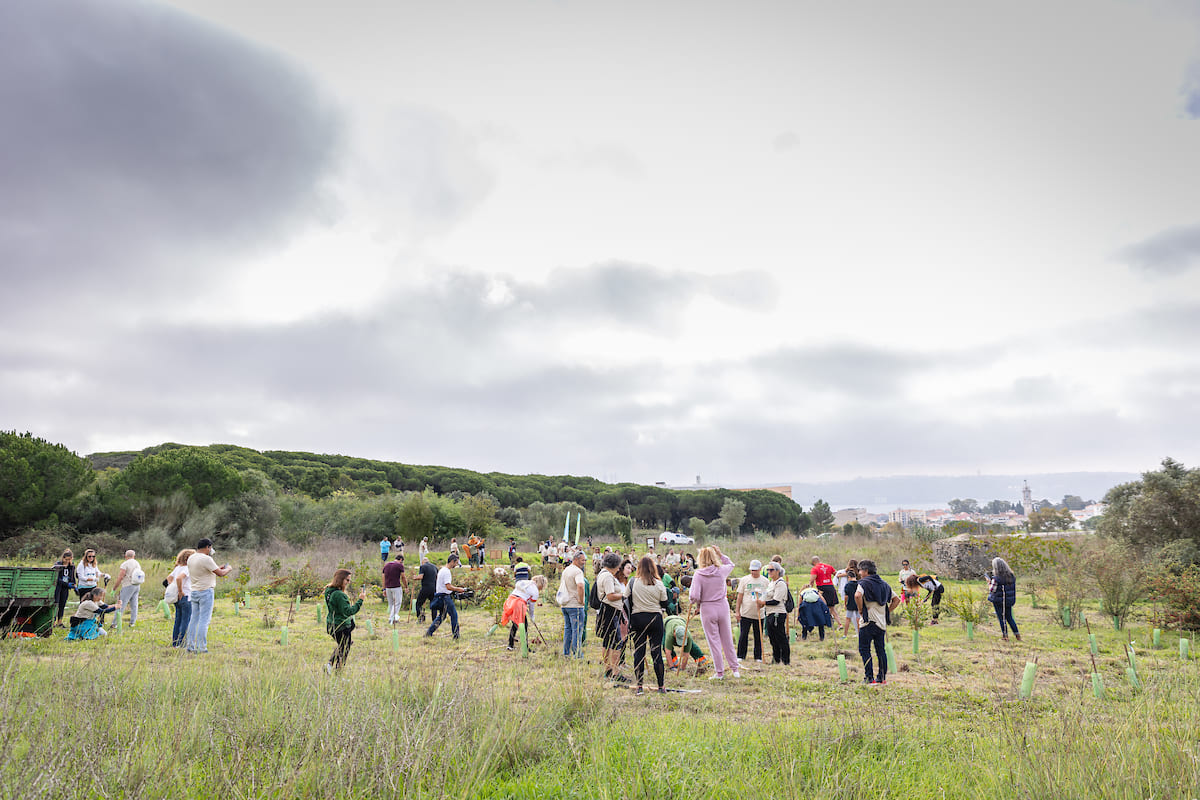 Lisboa assinalou os 90 anos do Parque Florestal de Monsanto