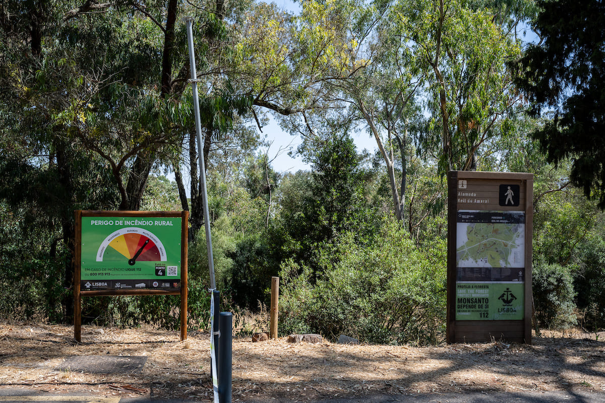 Para reforçar a segurança na época de Verão, a CML instalou 16 painéis informativos no Parque Florestal de Monsanto