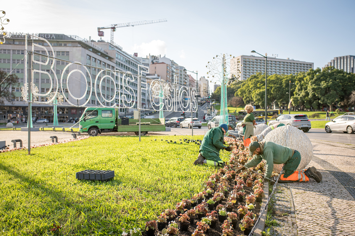 A iniciativa “Natal em Flor na Avenida” trará mais 40 000 plantas ao coração da cidade