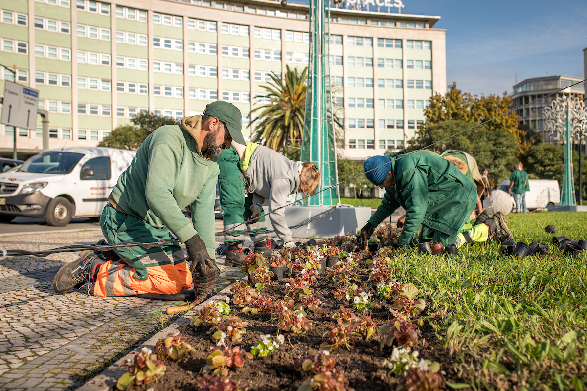 A operação envolveu várias etapas realizadas pelos jardineiros da CML