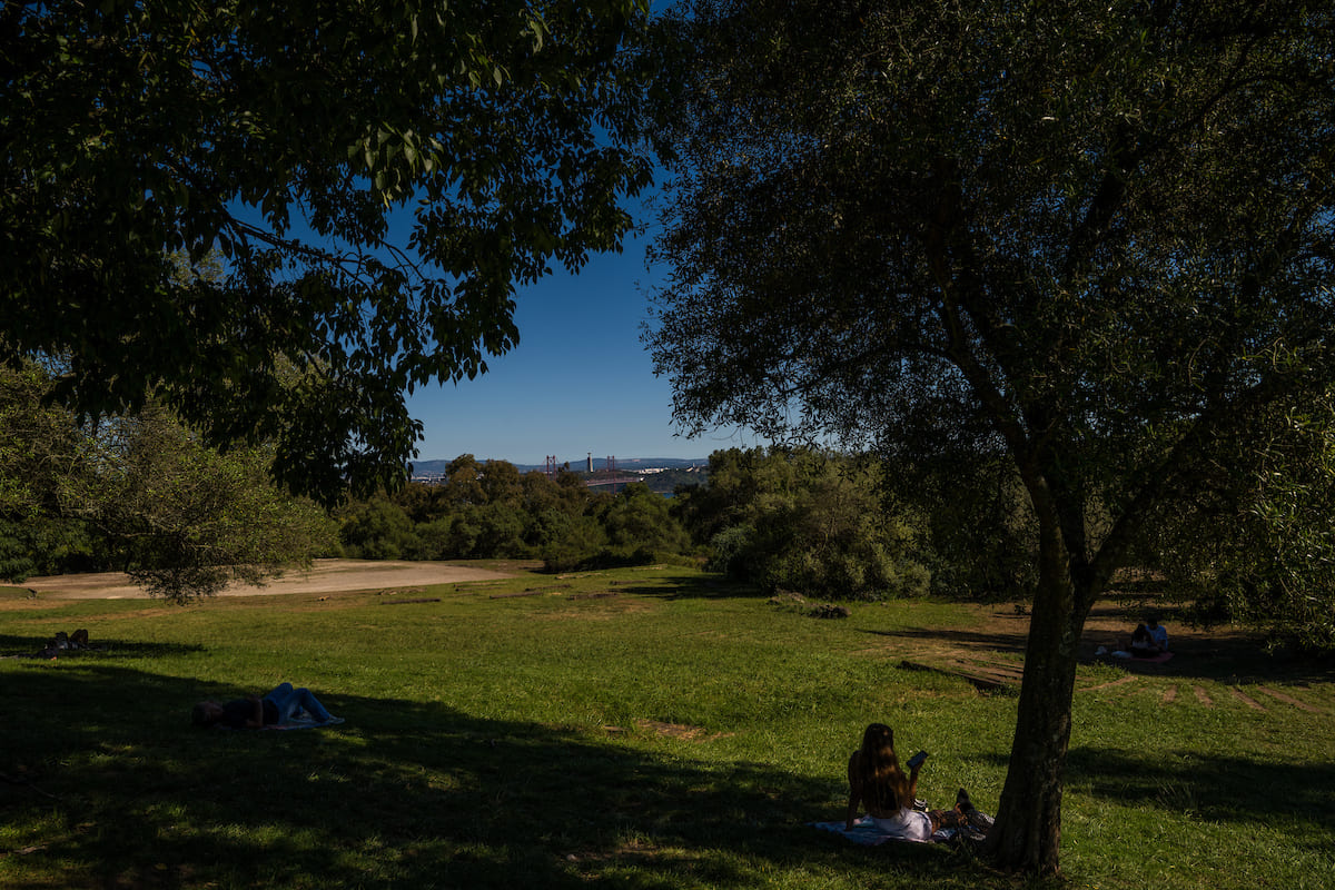  O Parque Florestal de Monsanto, com mais de 1 000 ha, é considerado o pulmão de Lisboa