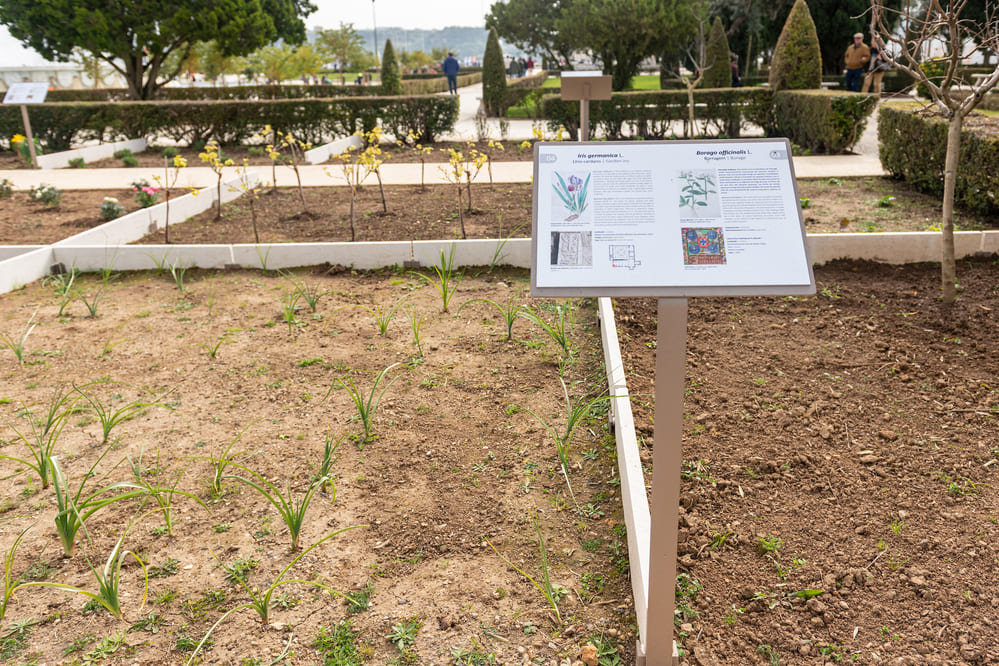 Área de jardim aumentou 5 500 m2: passou de 30 650 m2 para 36 150 m2 - Jardim da Praça do Império