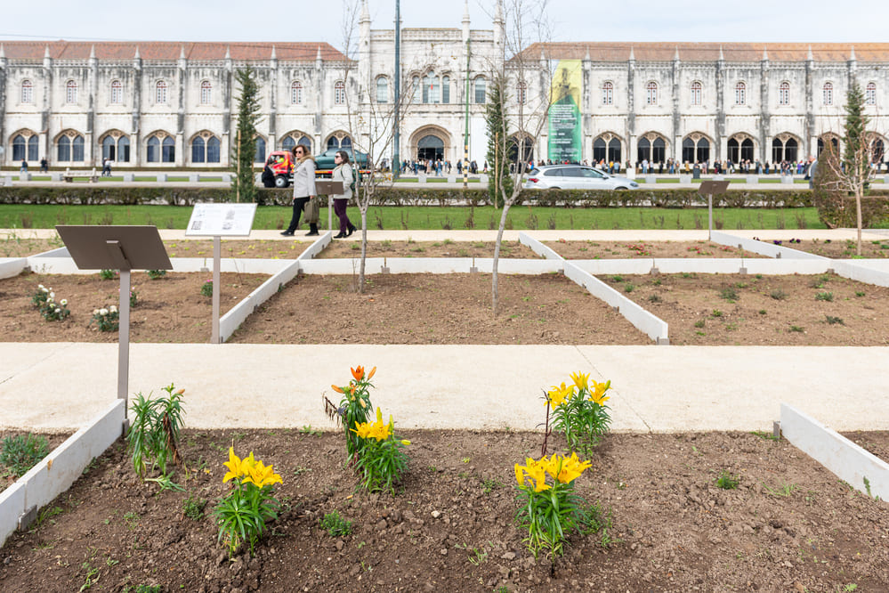 Área de jardim aumentou 5 500 m2: passou de 30 650 m2 para 36 150 m2 - Jardim da Praça do Império