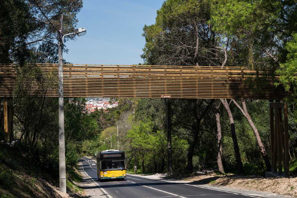 Viaduto ciclopedonal da Cruz das Oliveiras