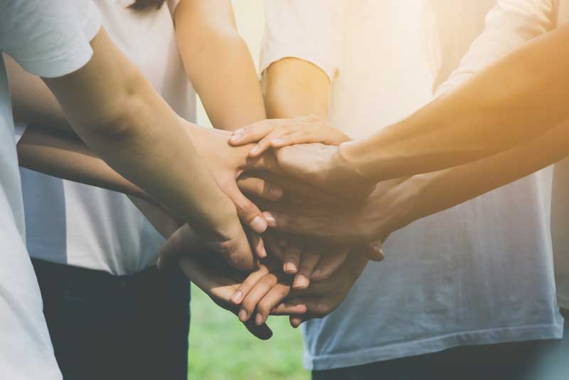 Programas de apoio social nas Freguesias