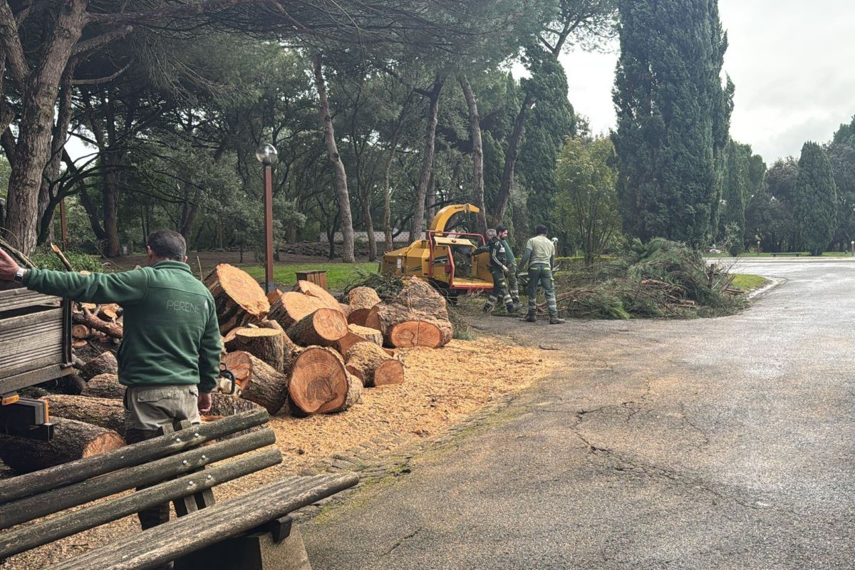 Parques Recreativos da Serafina e do Alvito temporariamente encerrados