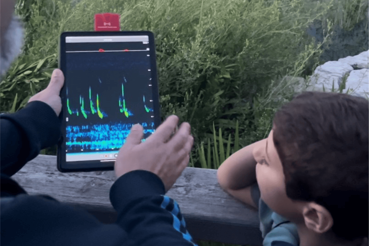 O espectrograma permite estudar a frequência, intensidade e duração das vocalizações, auxiliando na identificação das diferentes espécies de morcegos