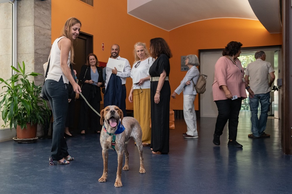 Pedro Paiva, manifestou-se empenhado em “tornar Lisboa numa cidade onde humanos e animais vivem em harmonia"