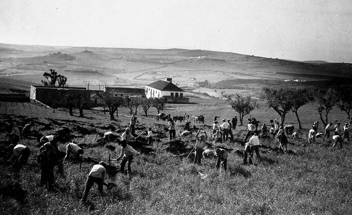 Monsanto começou a ser plantado, 1938