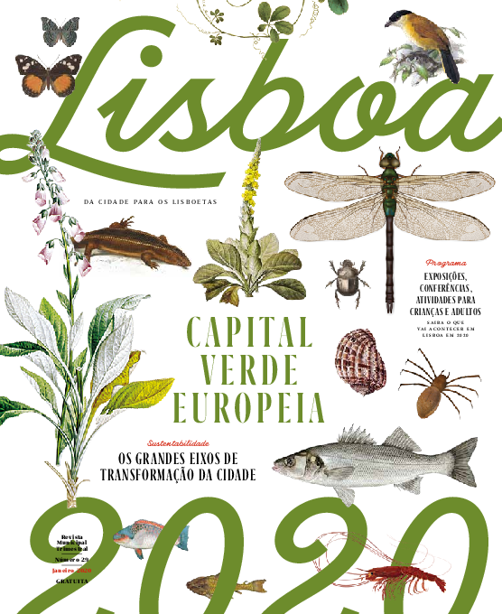 Revista Lisboa n.º 29