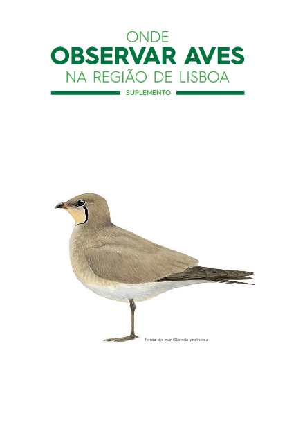 Onde observar aves na região de Lisboa 